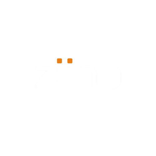 02. Logo_Ziinp_Secundário (1)